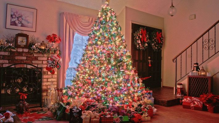 decorating-the-apartment-for-Christmas-1