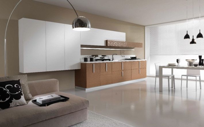 minimalist magika kitchen cabinetry